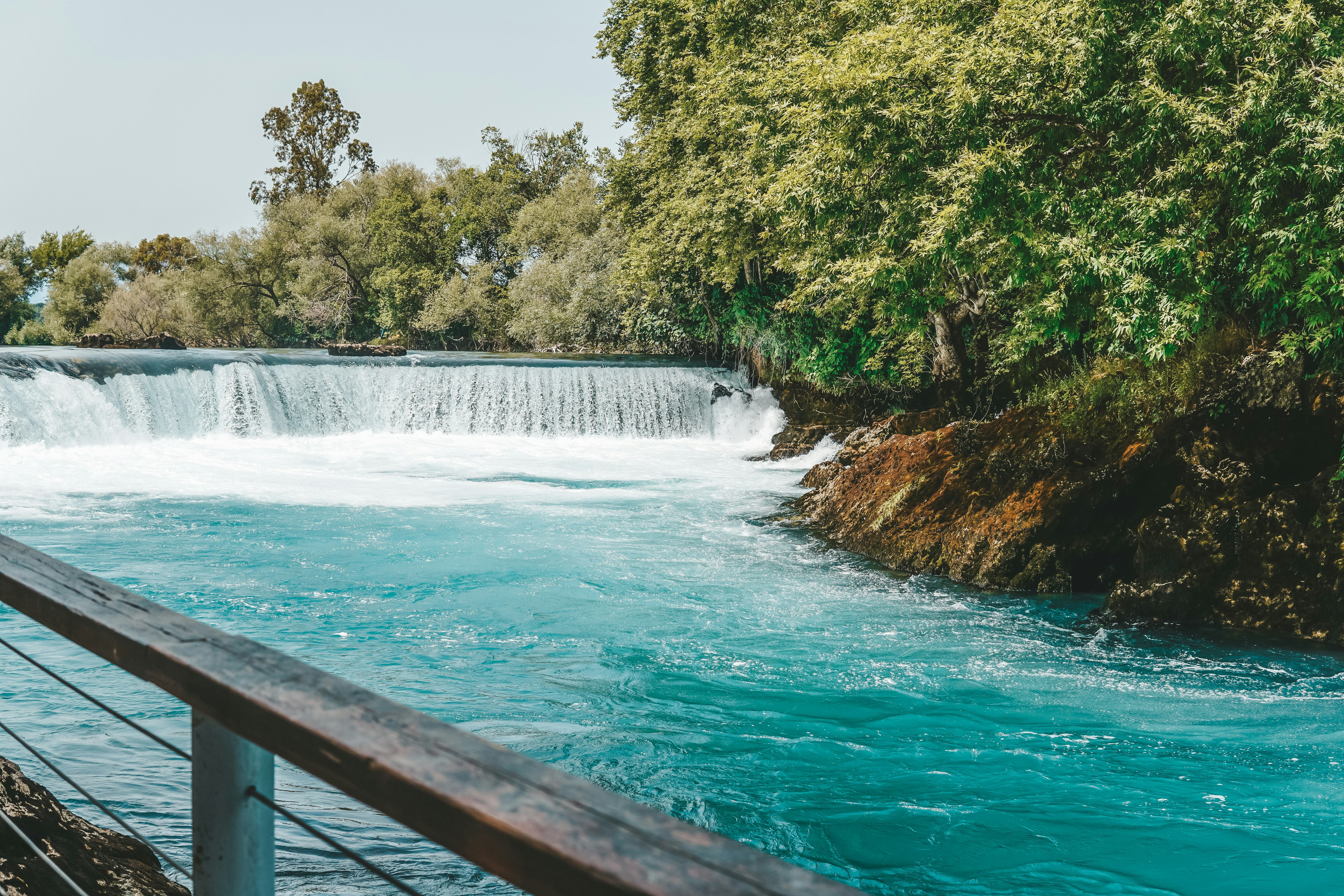 water falls in the middle of green trees