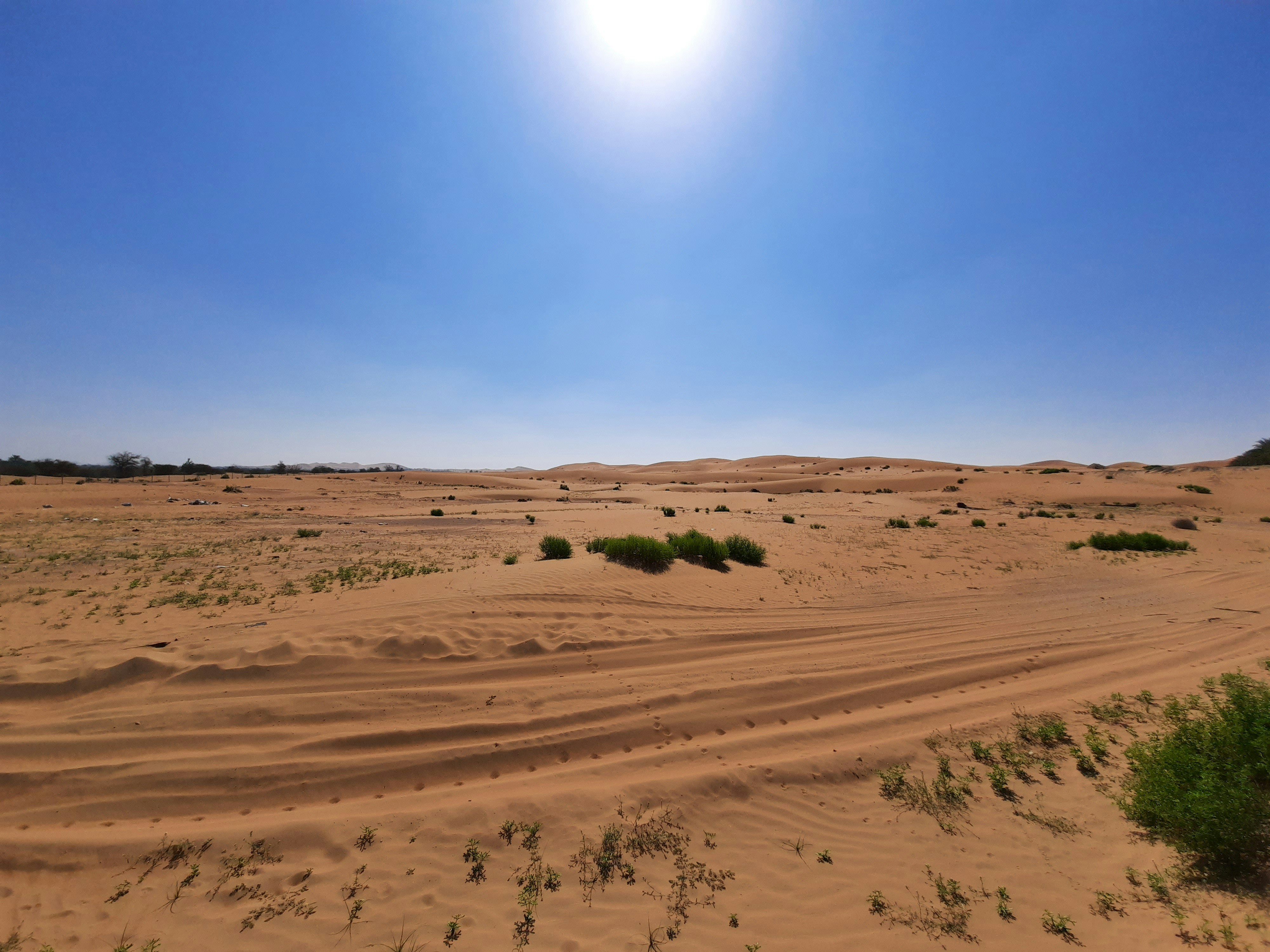 Temperature Extremes and Thermal Shock (image credits: unsplash)