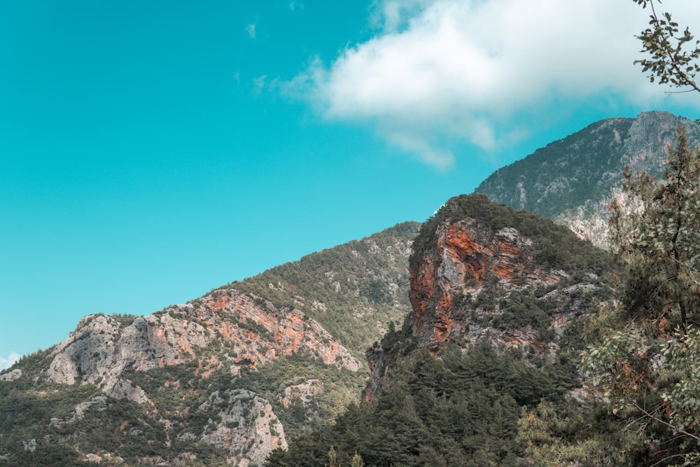 green and brown mountain under blue sky during daytime