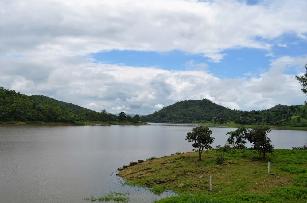 green trees near lake under blue sky during daytime