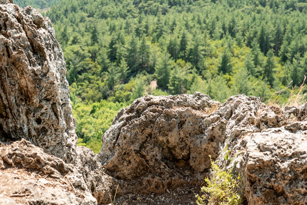 brown rock formation near green trees during daytime