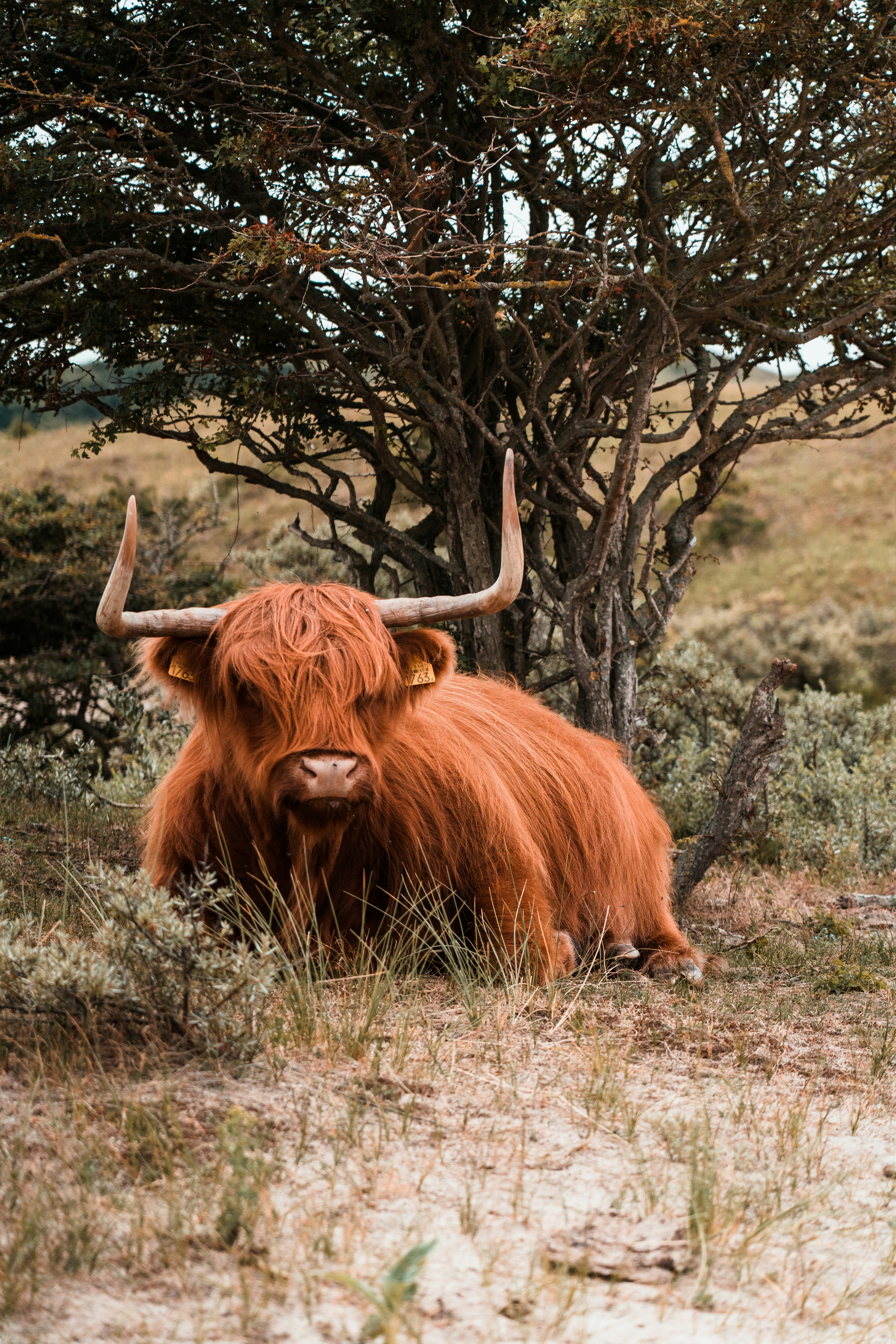 Photo by mitchelanneveldt