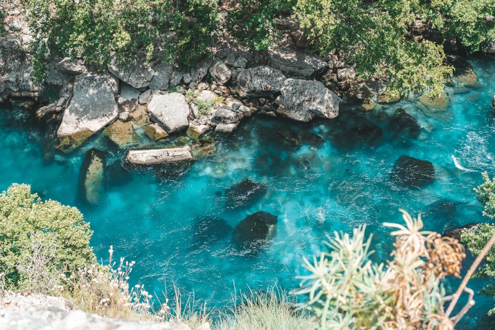 green moss on rock formation beside body of water during daytime