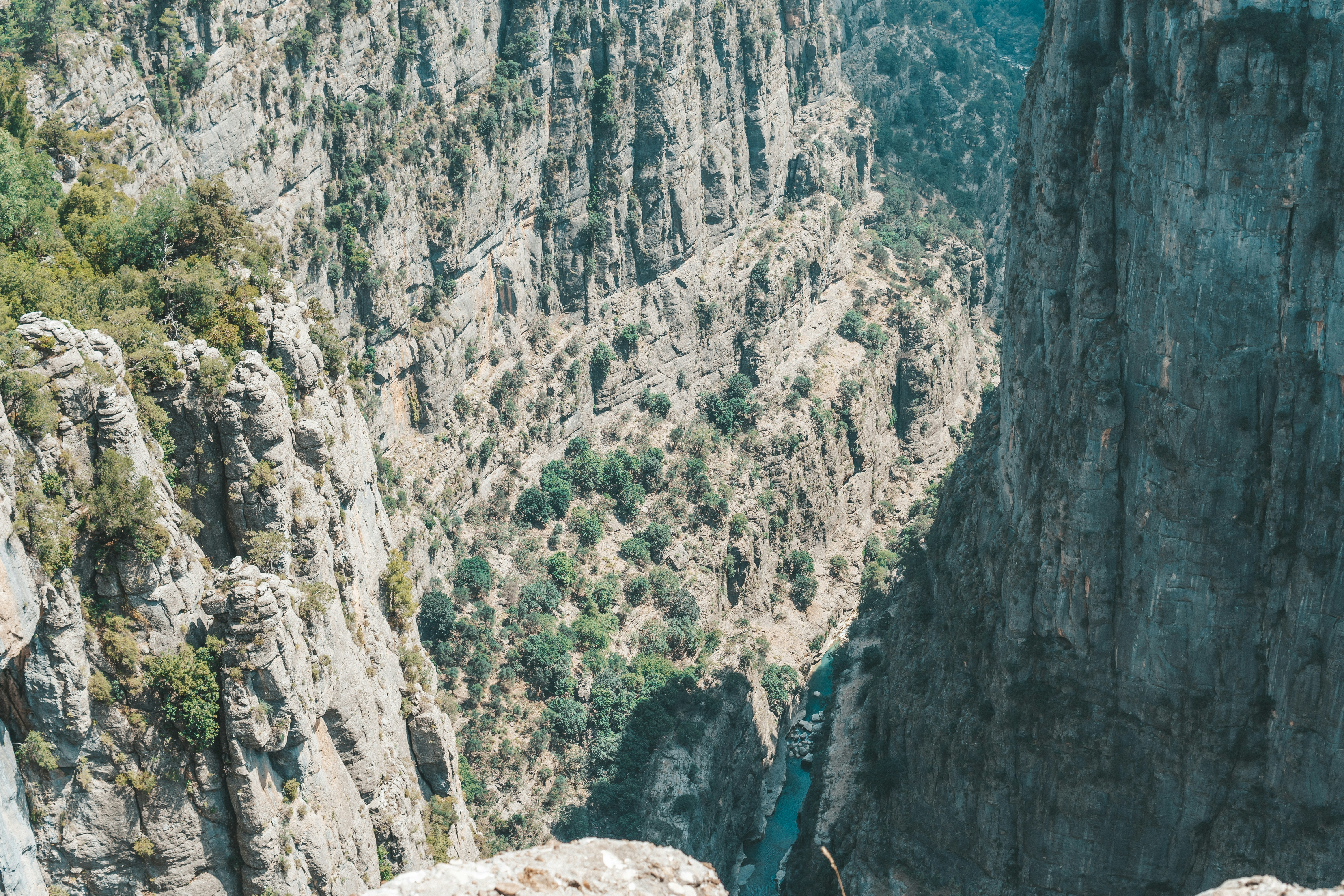 Photo by mertkahveci