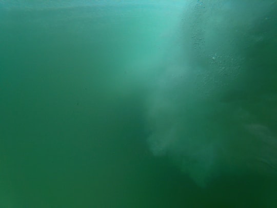 photo of Caloundra QLD Underwater near Noosa National Park