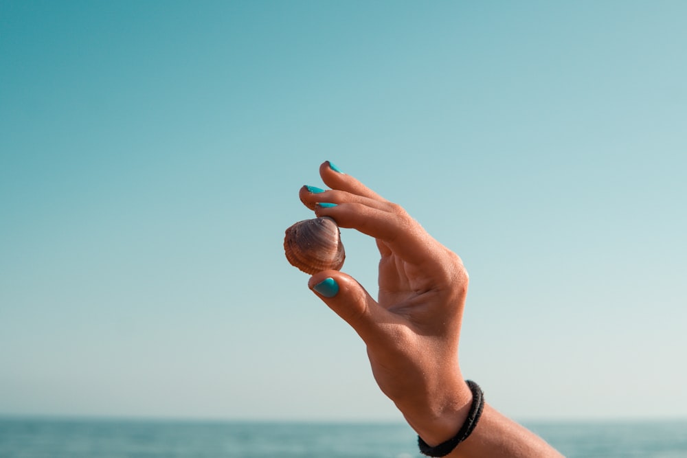 person holding blue stone near body of water during daytime