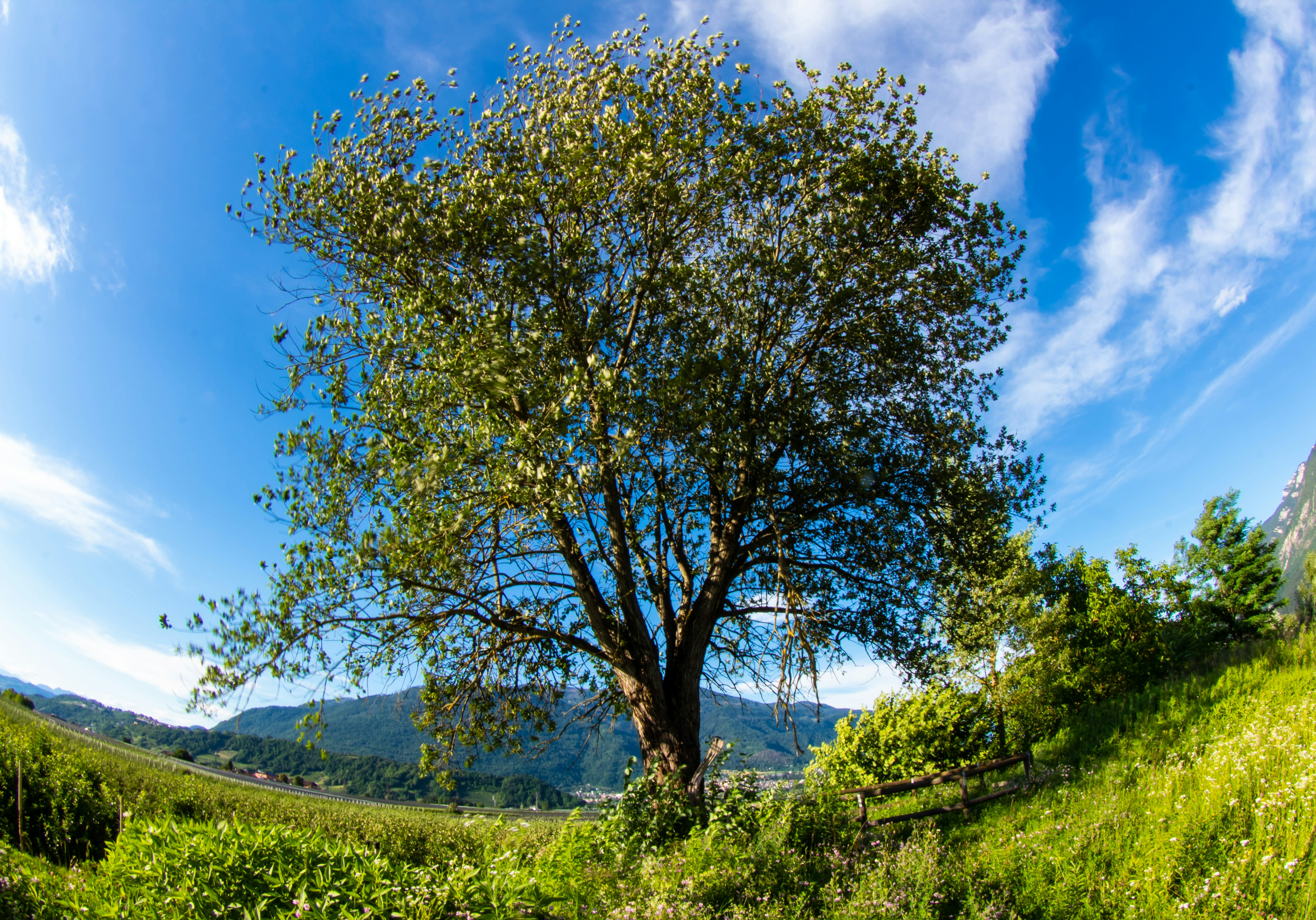 Photo by photoroutes