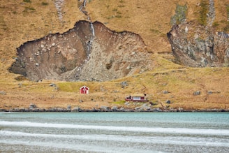 people on beach during daytime