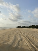 brown sand near body of water during daytime