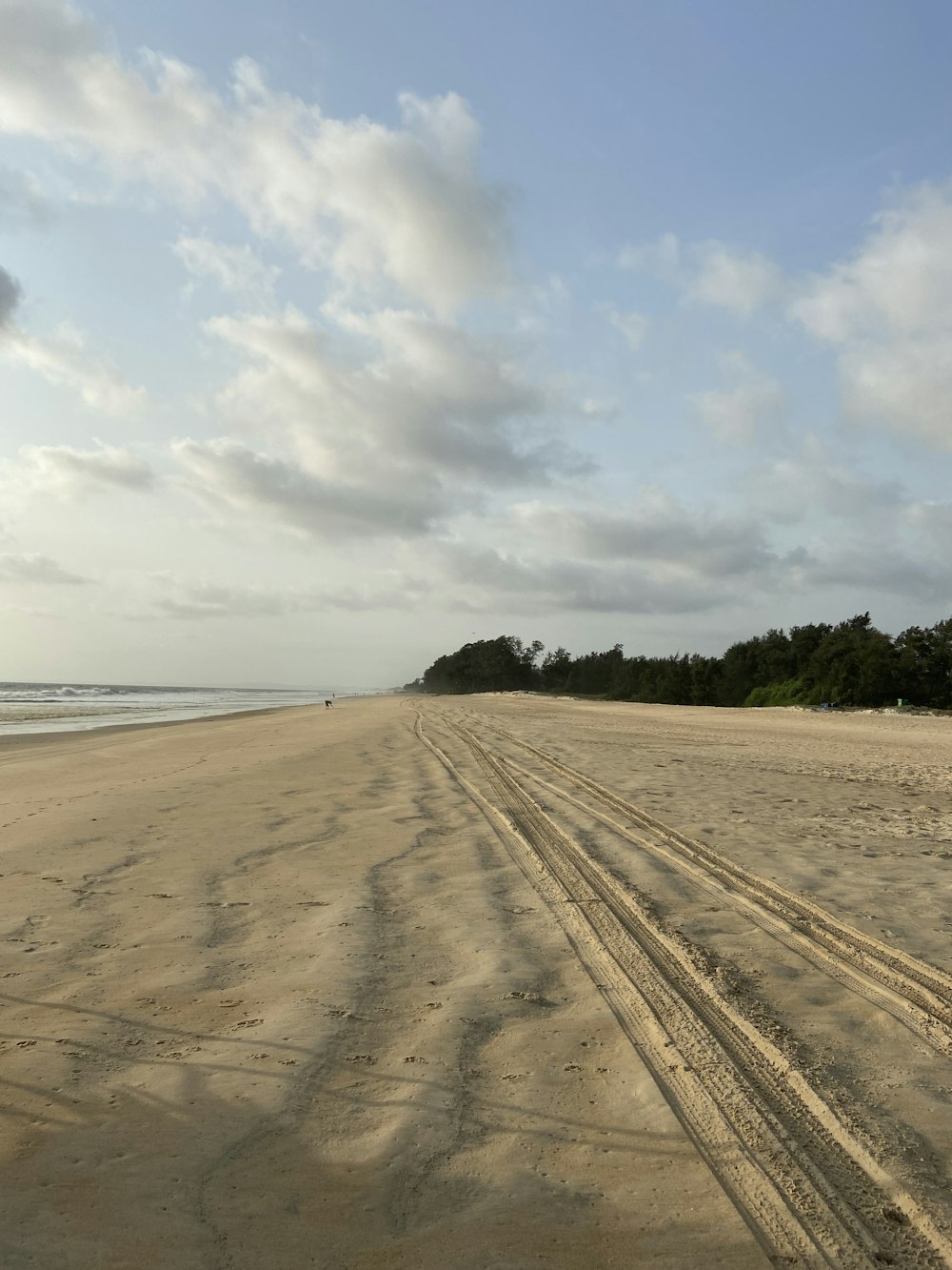 brown sand near body of water during daytime