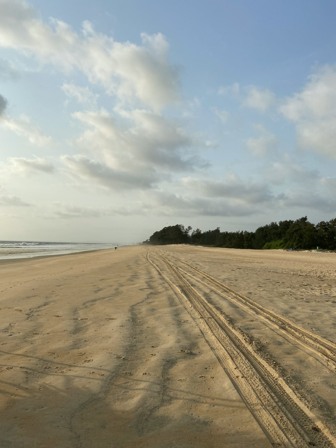 Travel Tips and Stories of Varca Beach in India