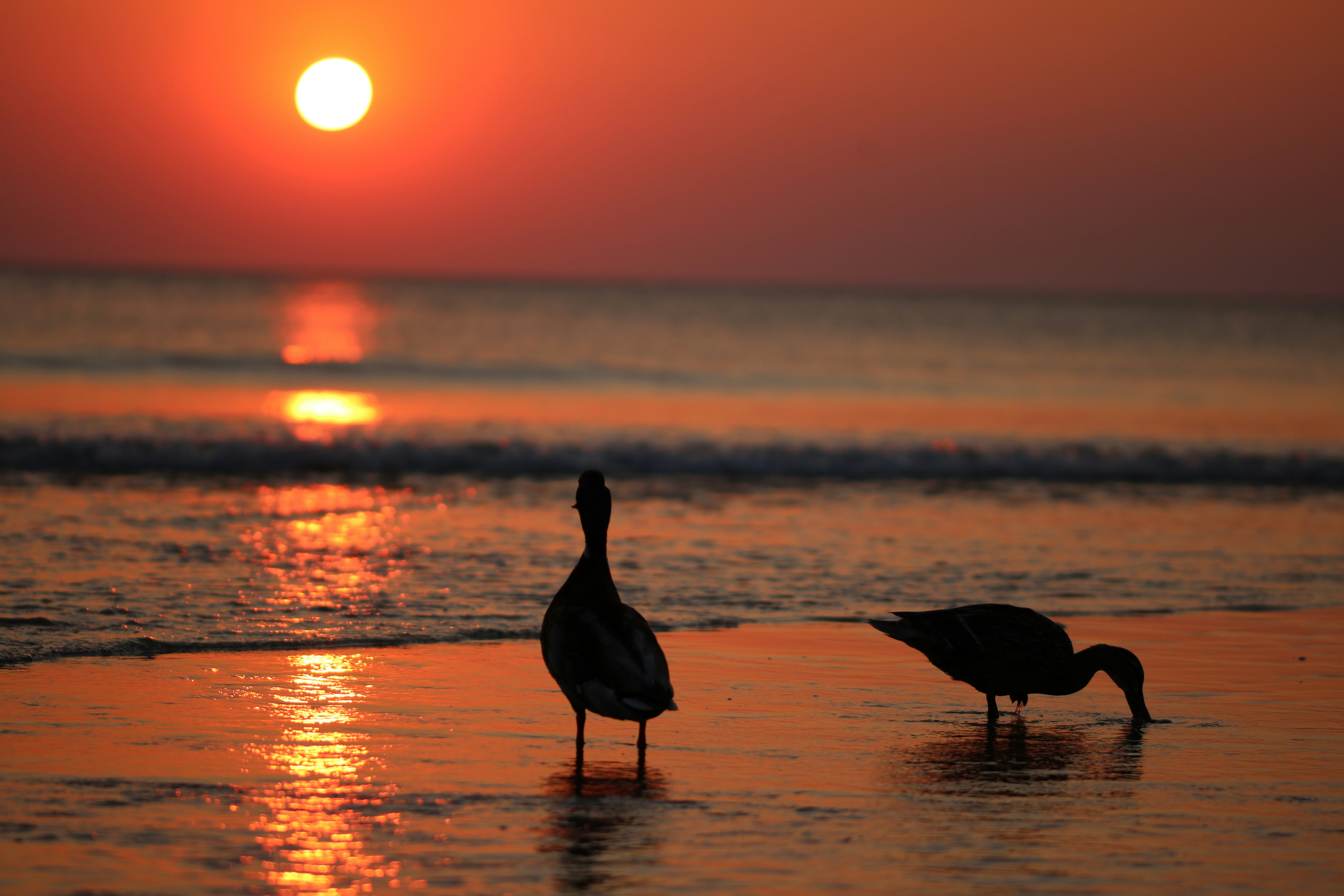 Photo by diemitdemuniontrikot