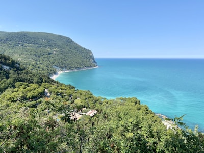 green trees near blue sea under blue sky during daytime