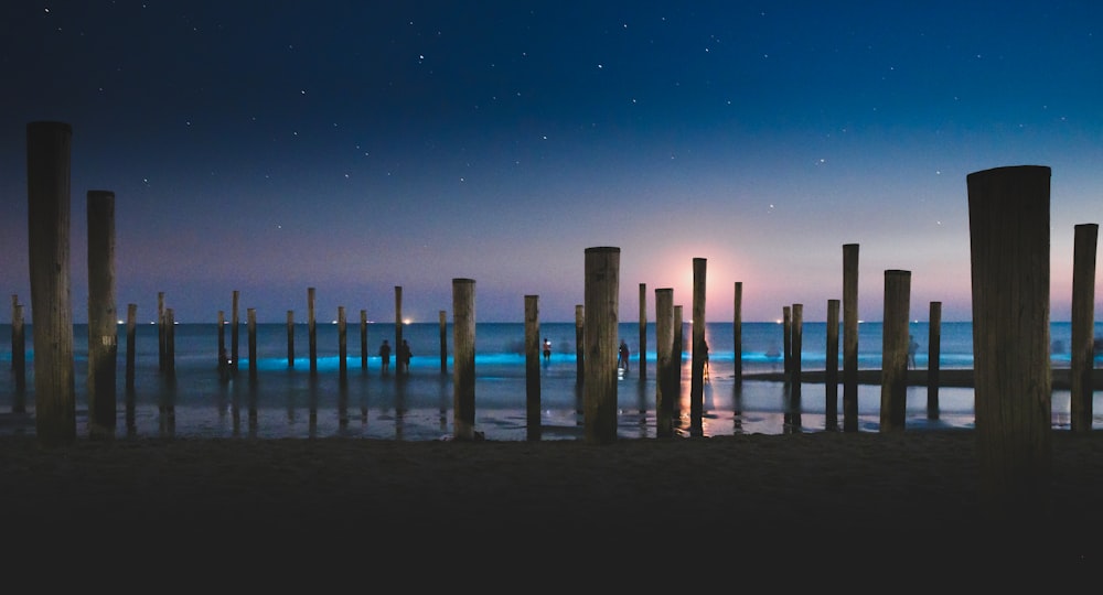 brown wooden dock on sea during night time