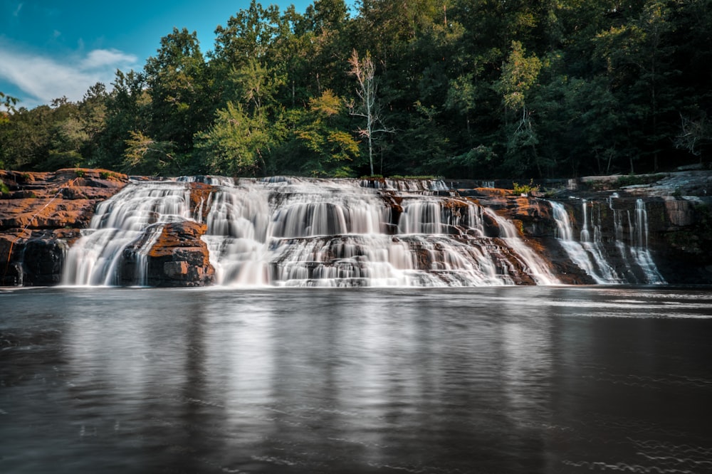 water falls in the middle of green trees