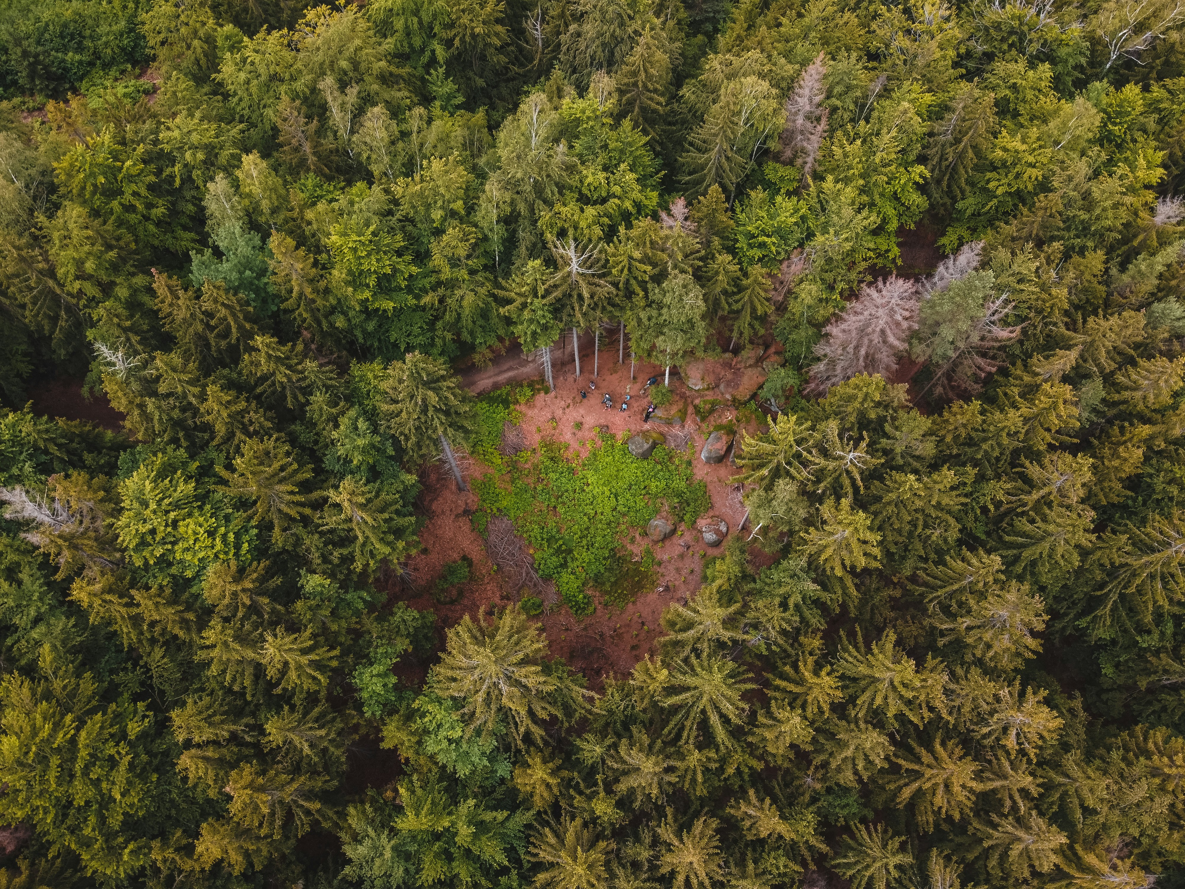 Photo by otohp_by_sakul