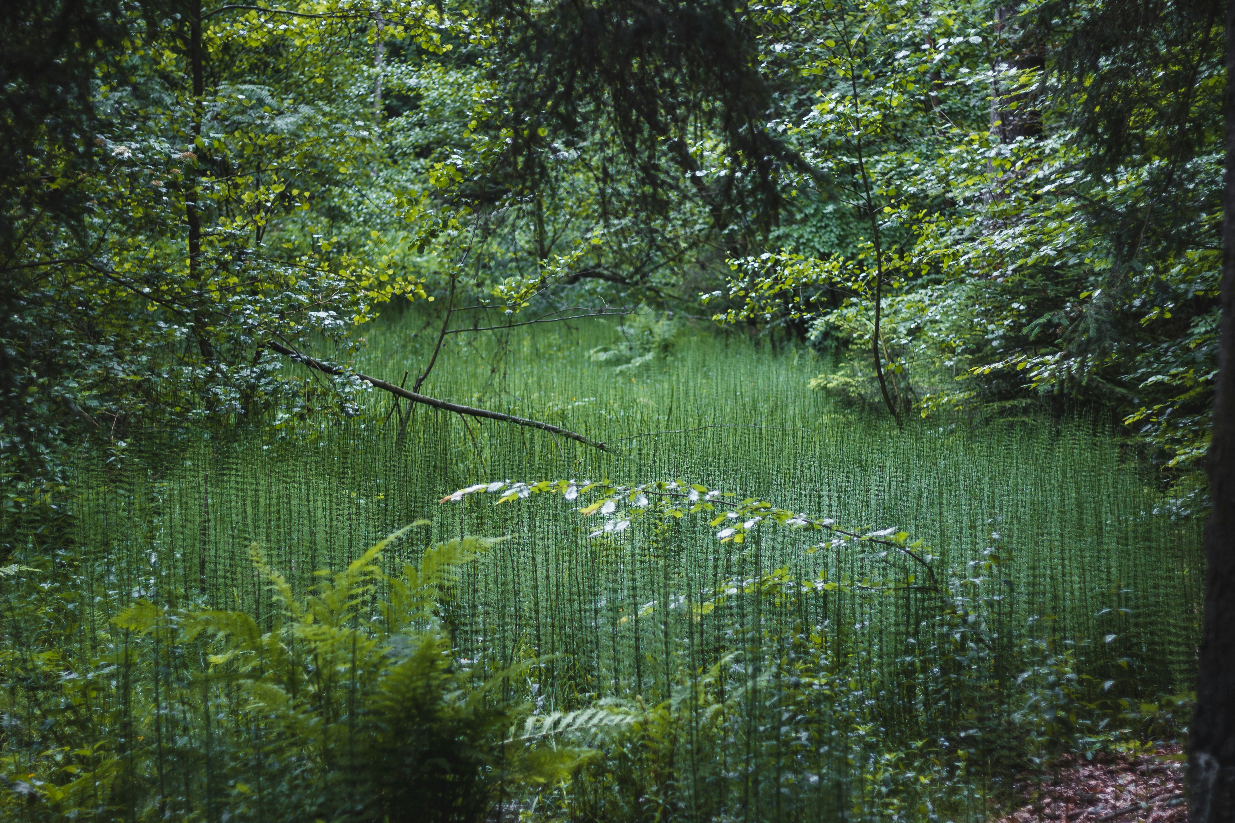 Photo by otohp_by_sakul