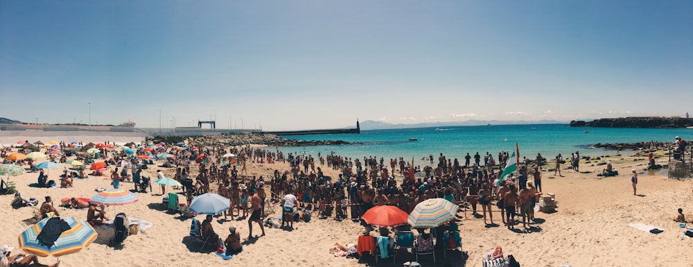 people on beach during daytime