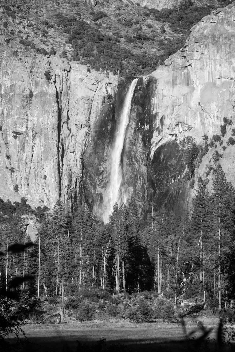 grayscale photo of waterfalls in forest