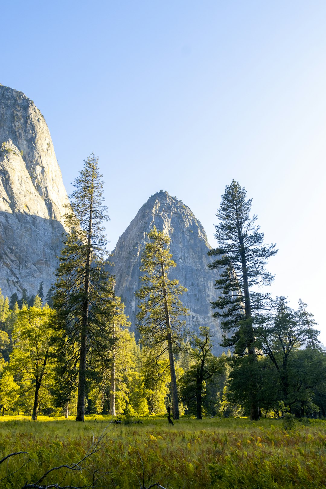 green trees near mountain during daytime