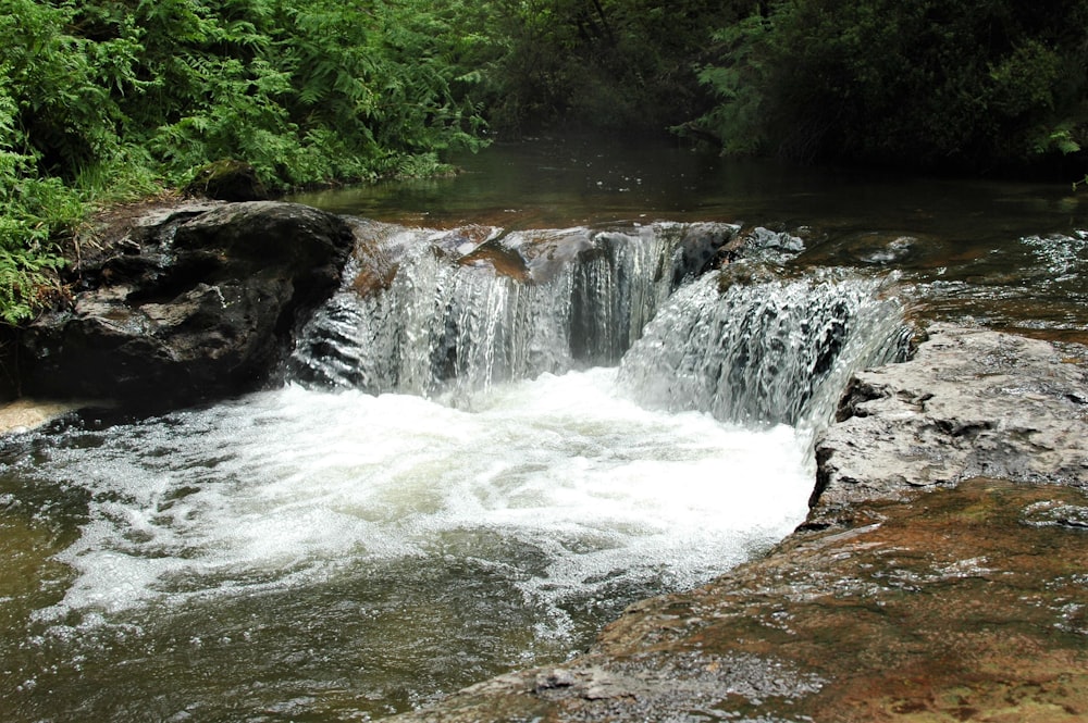 water falls in the middle of green trees