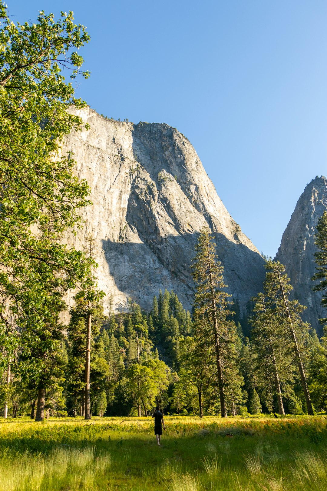 green trees near gray mountain during daytime