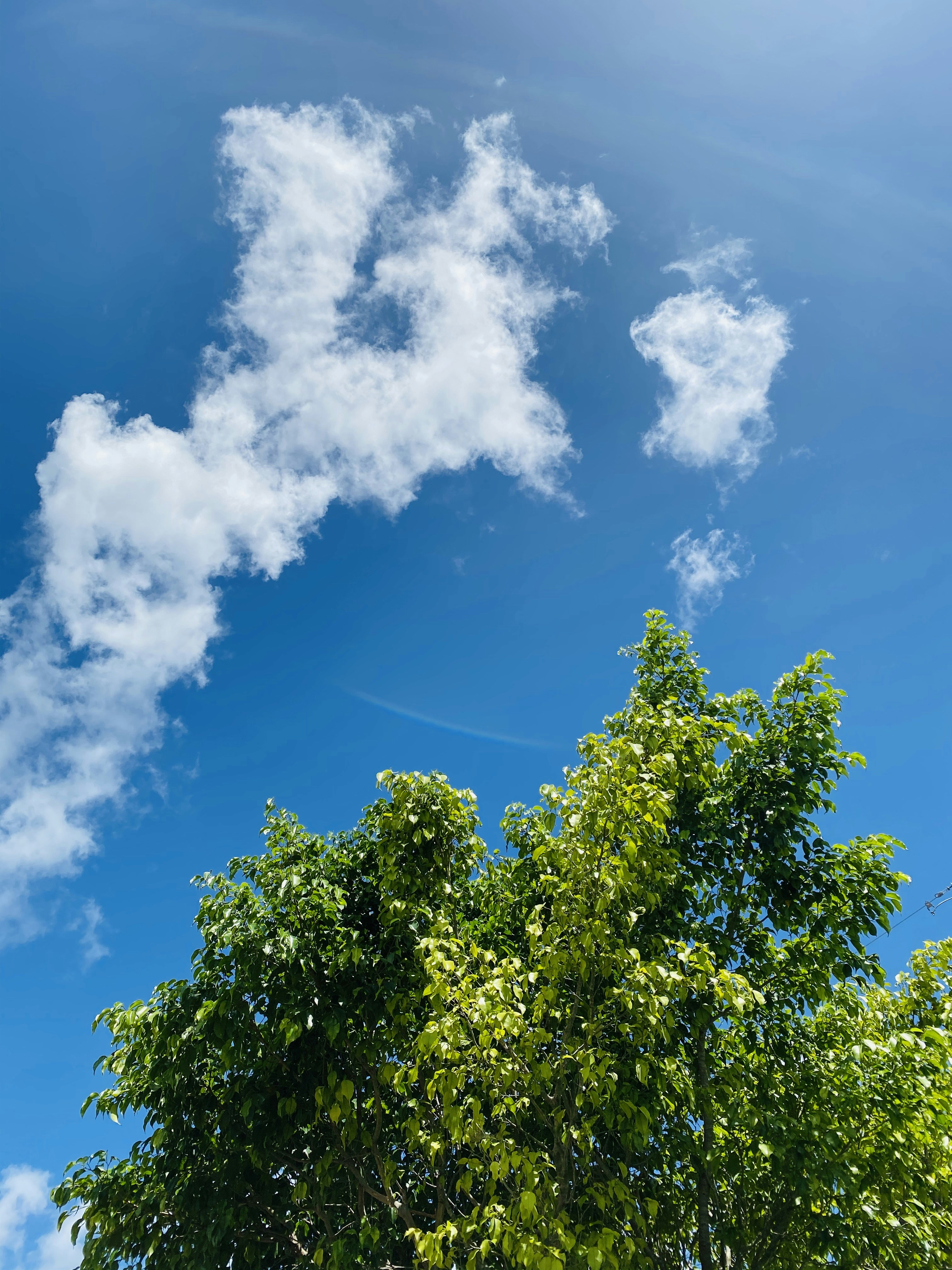 Photo by tiffanymarinn