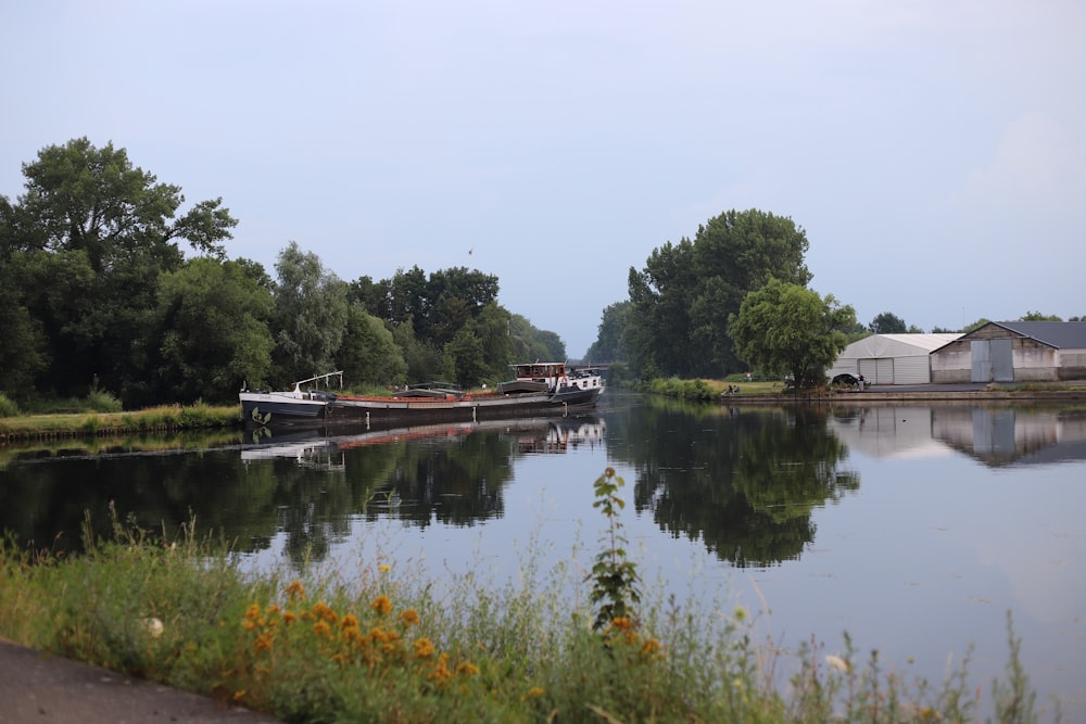 brown wooden dock on lake during daytime