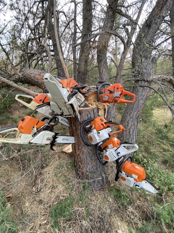 Chainsaws