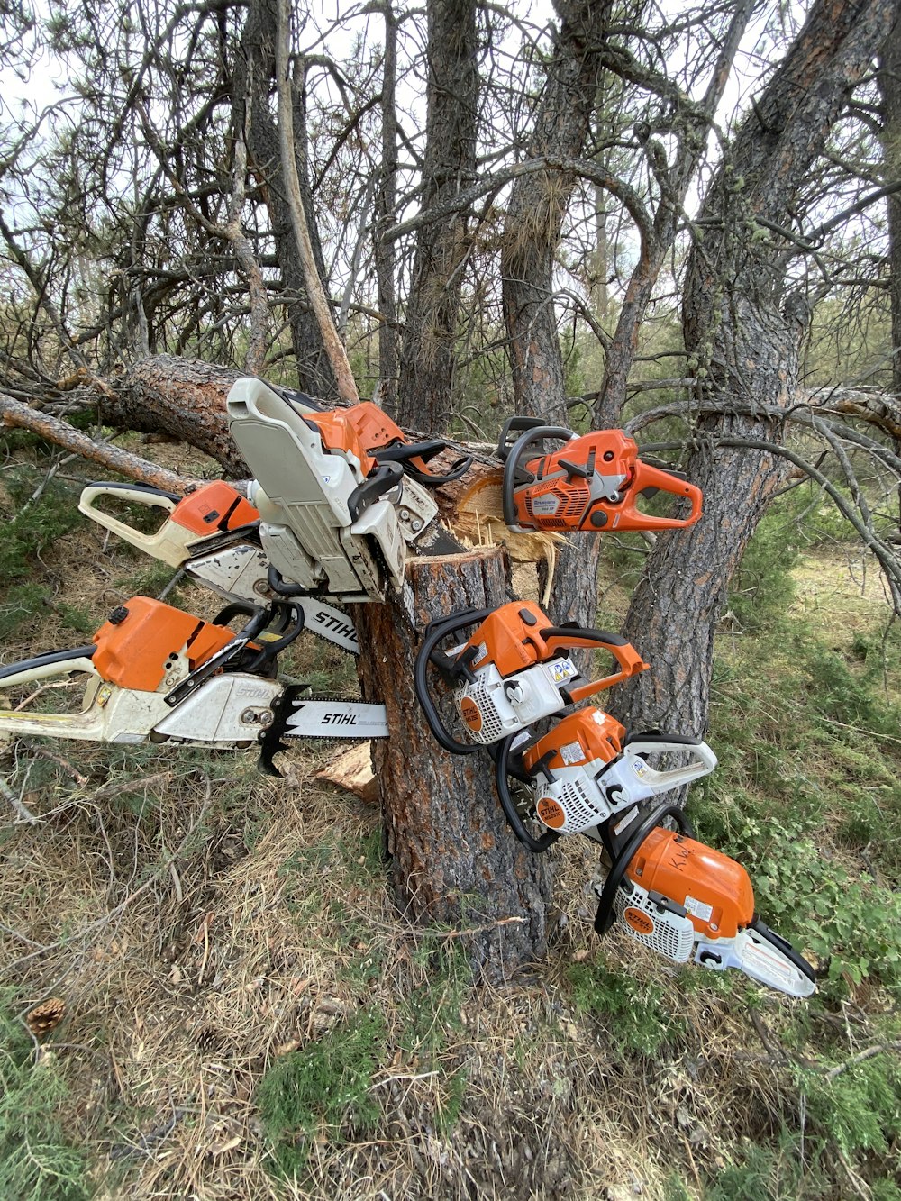 orange and white snow blower on brown tree