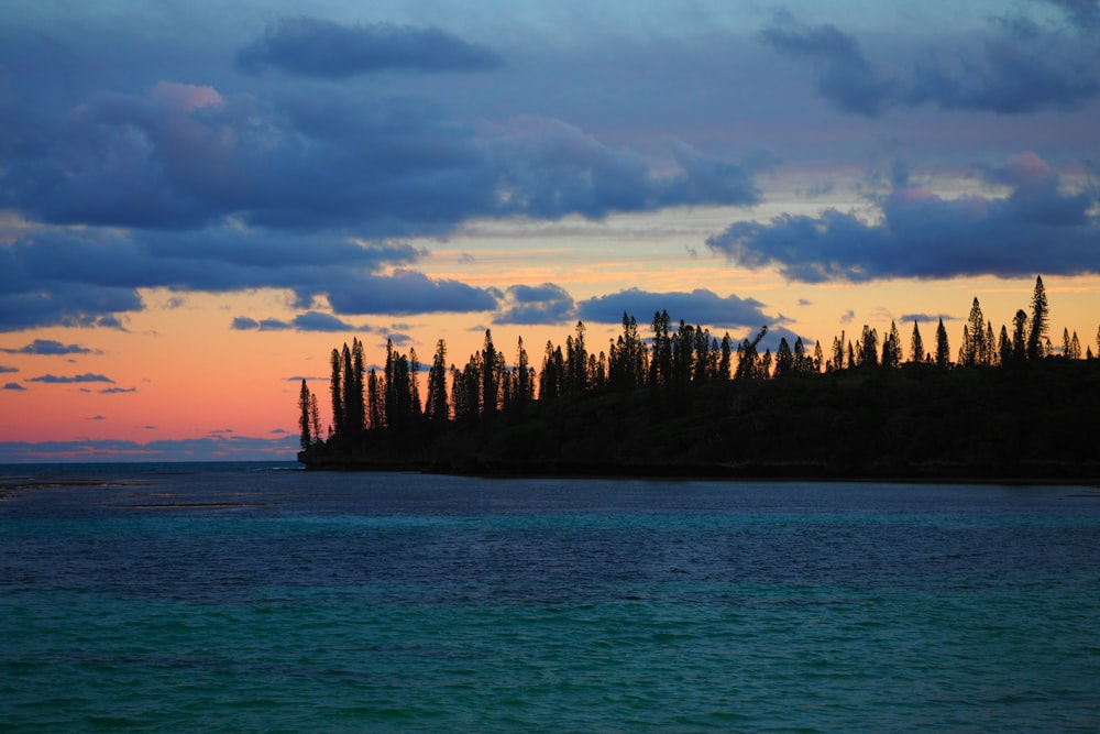 alberi verdi vicino allo specchio d'acqua durante il giorno