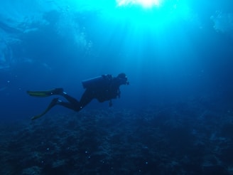 A scuba diver is exploring an underwater environment with bright blue water illuminated by sunlight filtering through from above. The diver's silhouette is visible, equipped with fins and a diving tank, surrounded by the deep ocean and aquatic life hidden in shadows.