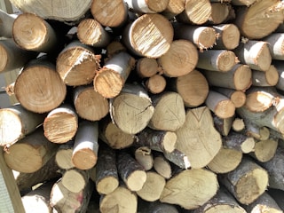 A stack of cut logs with various diameters, neatly arranged and displaying the cross-sections of tree trunks. The wood varies in color from light beige to darker brown, indicating freshly cut timber with visible growth rings and some rough bark edges.