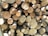 A stack of cut logs with various diameters, neatly arranged and displaying the cross-sections of tree trunks. The wood varies in color from light beige to darker brown, indicating freshly cut timber with visible growth rings and some rough bark edges.