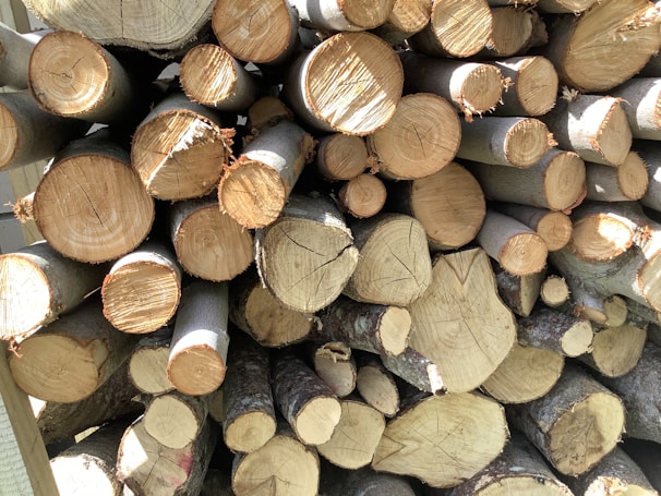 A stack of cut logs with various diameters, neatly arranged and displaying the cross-sections of tree trunks. The wood varies in color from light beige to darker brown, indicating freshly cut timber with visible growth rings and some rough bark edges.