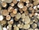 A stack of cut logs with various diameters, neatly arranged and displaying the cross-sections of tree trunks. The wood varies in color from light beige to darker brown, indicating freshly cut timber with visible growth rings and some rough bark edges.