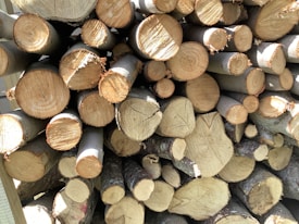 A stack of cut logs with various diameters, neatly arranged and displaying the cross-sections of tree trunks. The wood varies in color from light beige to darker brown, indicating freshly cut timber with visible growth rings and some rough bark edges.