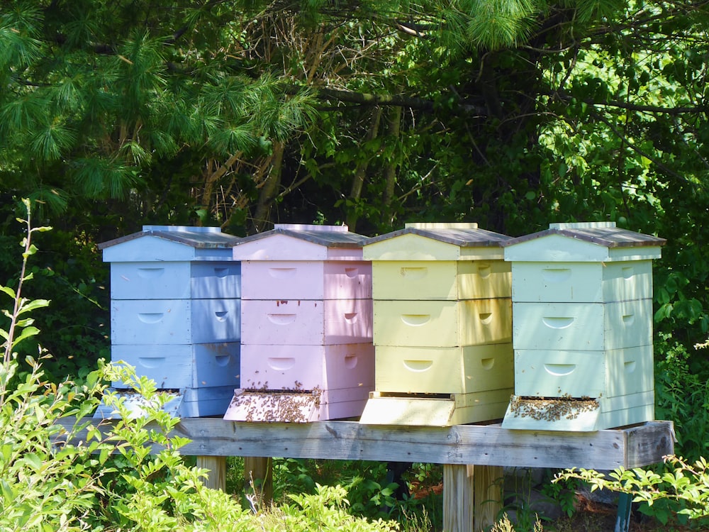 Boîtes florales blanches et brunes sur clôture en bois marron