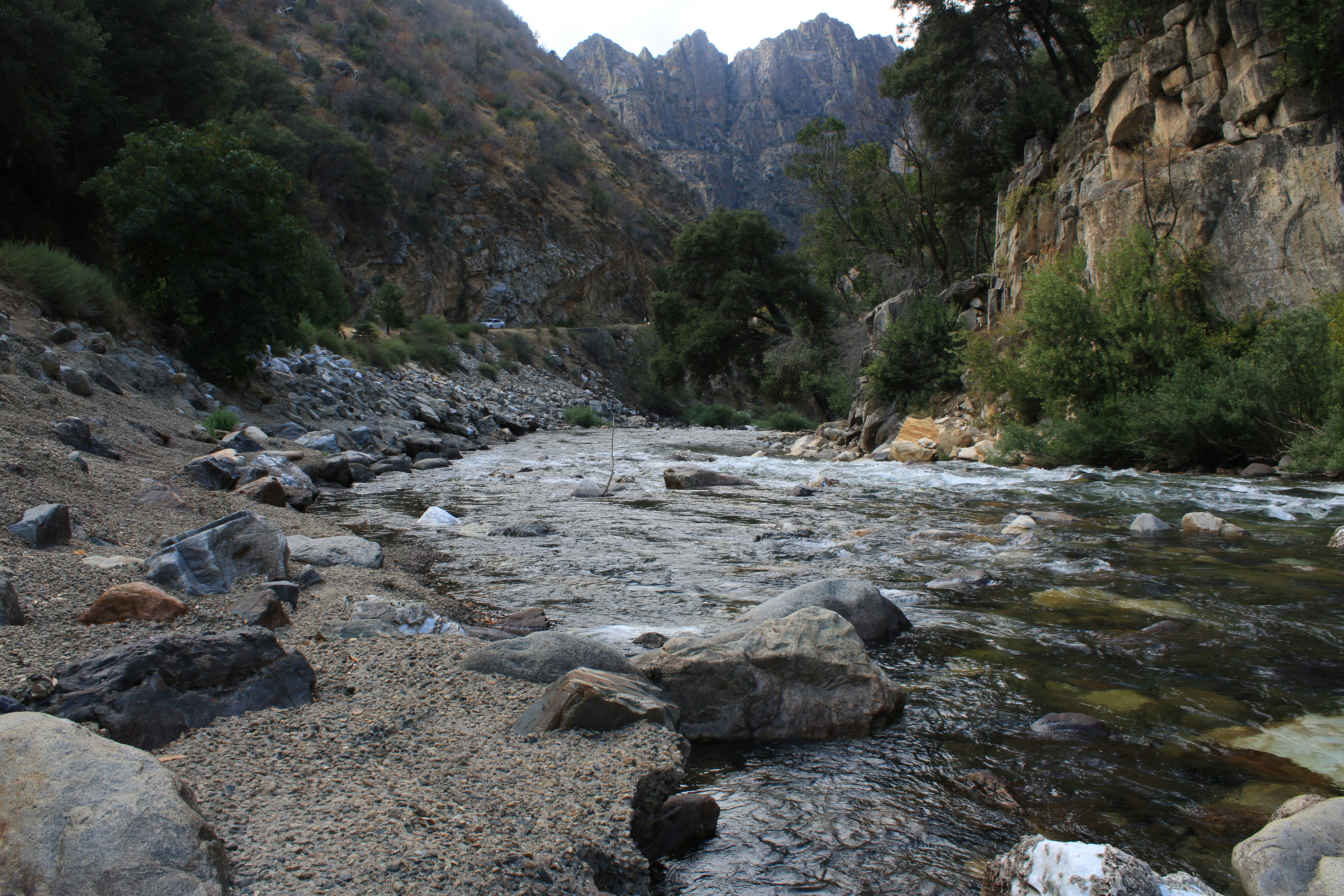 rocky river between green trees and brown mountains during daytime, Creek near the end of the mountain range.