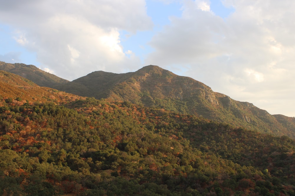 green and brown mountain under white clouds during daytime