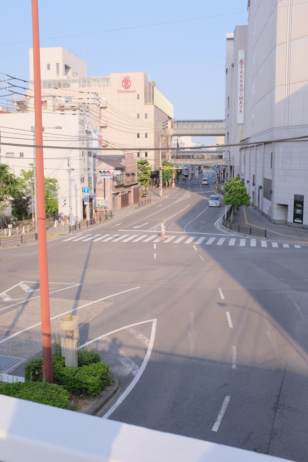 gray concrete road near green trees and buildings during daytime