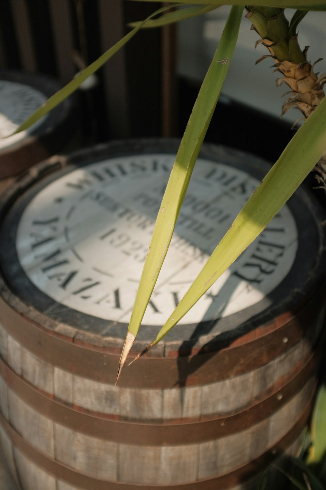 brown wooden barrel with green and white round logo