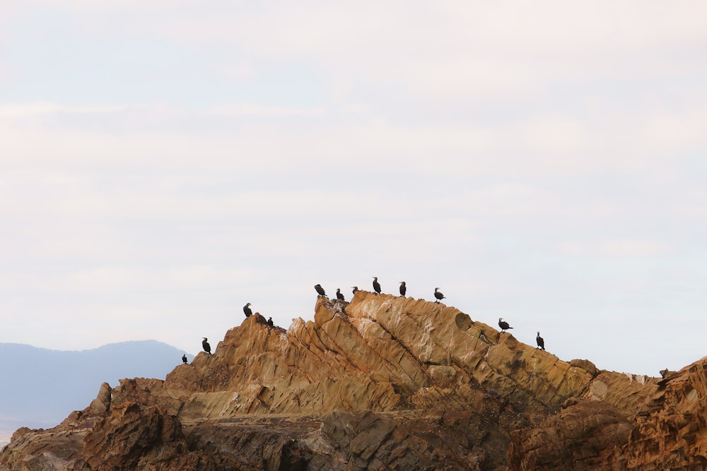 group of people on brown rock formation during daytime