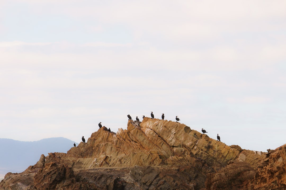 Badlands photo spot Mallacoota VIC Australia