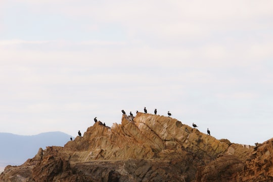 group of people on brown rock formation during daytime in Mallacoota VIC Australia