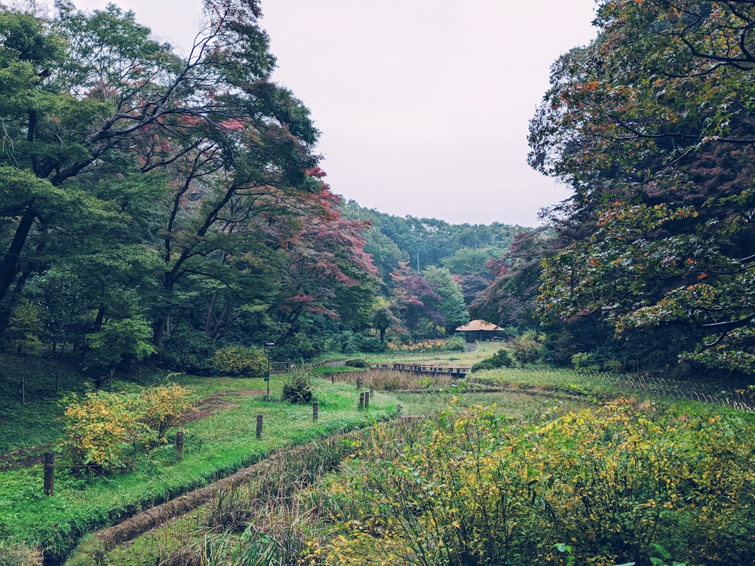 Hill station photo spot Tokyo Lake Ashinoko