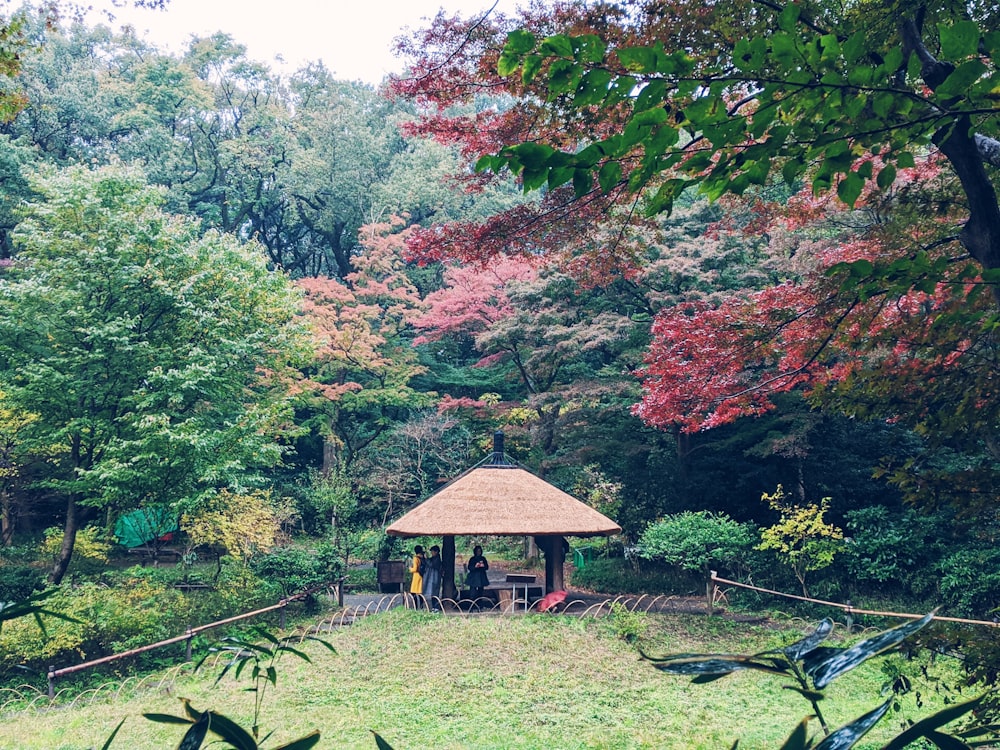 brauner Holzpavillon, tagsüber von grünen Bäumen umgeben