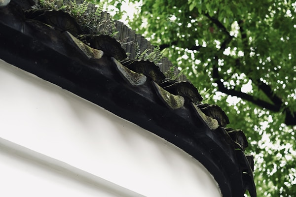A traditional architectural detail with dark, curved roof tiles partially covered in moss and small plants. The background shows lush green foliage from trees, creating a contrast with the white wall beneath the roof.