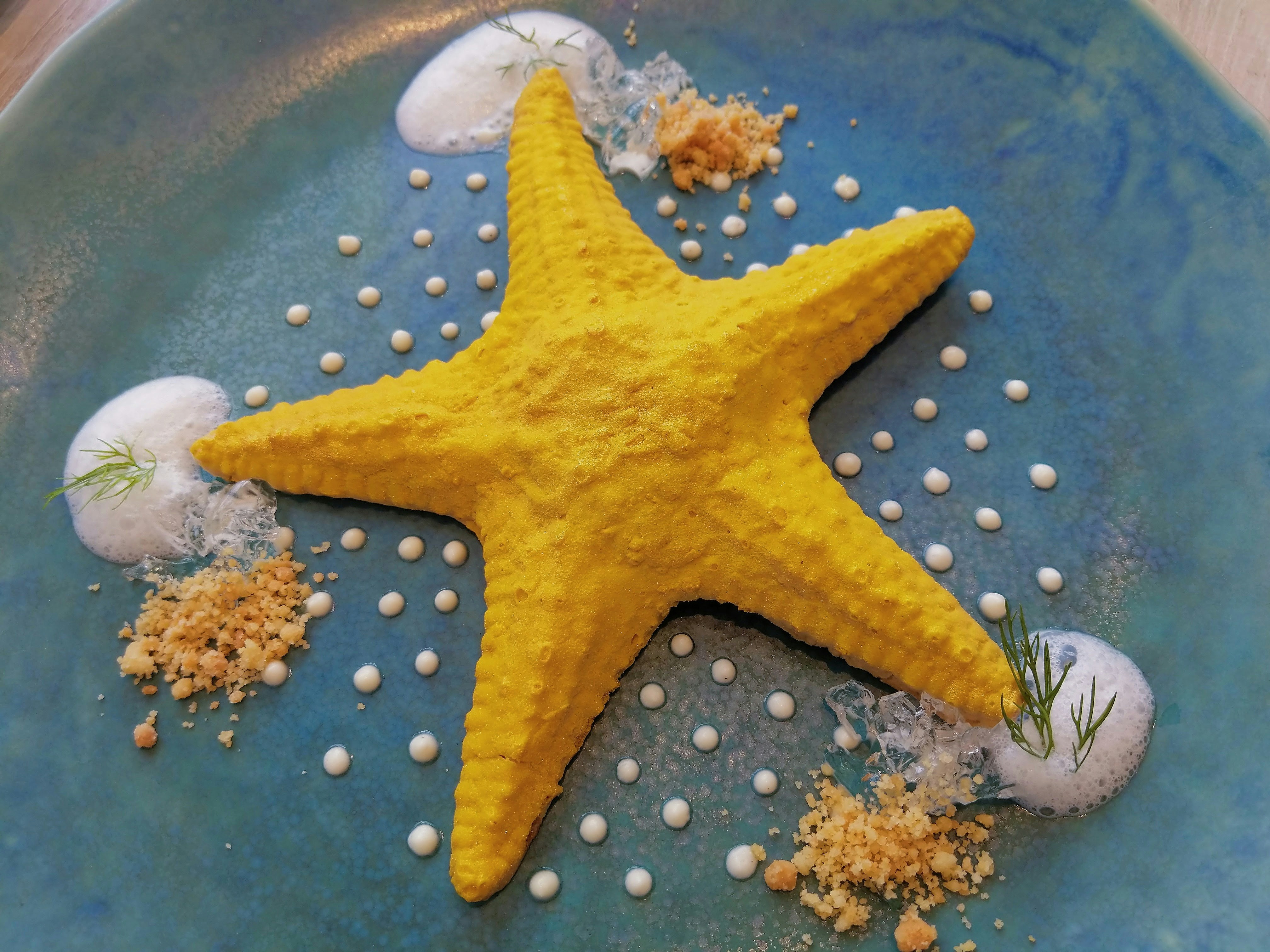 Cover image for template: Retrospectiva Estrela do Mar