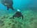 Two scuba divers explore an underwater landscape. The scene is filled with various shades of blue and green as the divers navigate a rocky ocean floor dotted with corals and marine life.